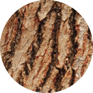 Element wood@2x
